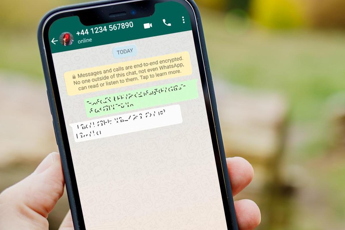 Cara Mengembalikan Chat WhatsApp yang Terhapus di Android dan iPhone