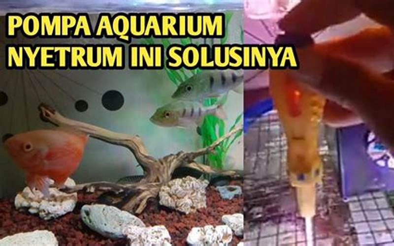 Cara Mengatasi Mesin Aquarium Nyetrum
