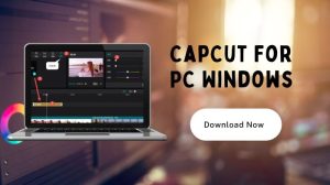 Download Video CapCut Tanpa Watermark dengan Mudah, Ini Caranya